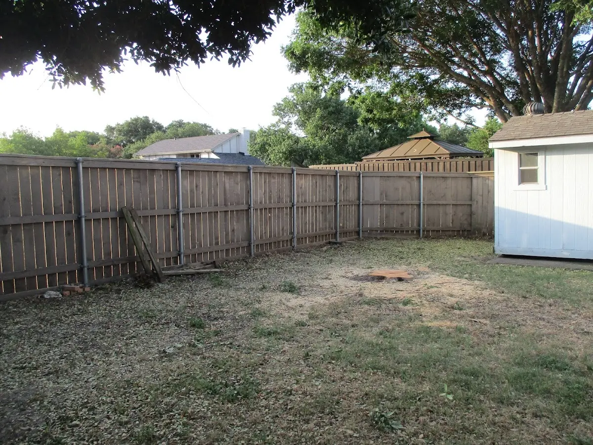 Cleared yard after professional tree removal in Oakboro