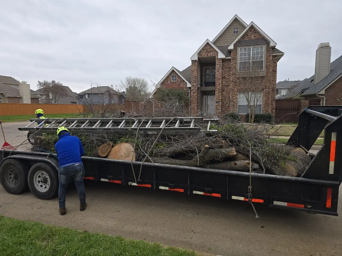 Expert Tree Fertilization with proper safety equipment in Oakboro